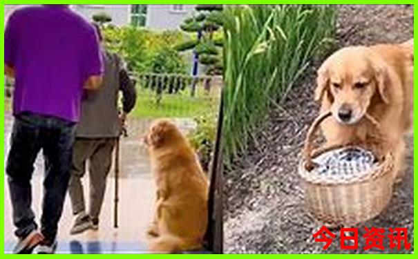 长沙橘子洲游玩攻略
